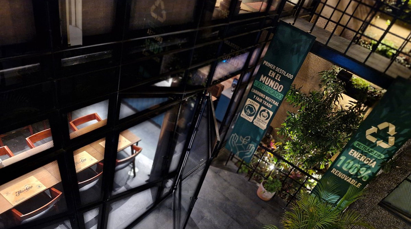 files/polanco-background.avif